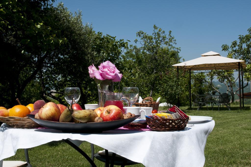 Cascina Rosa B&B Grazzano Badoglio Zewnętrze zdjęcie